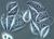 Hela cell line_tiny